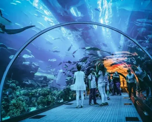 Jakarta Aquarium Admission Ticket